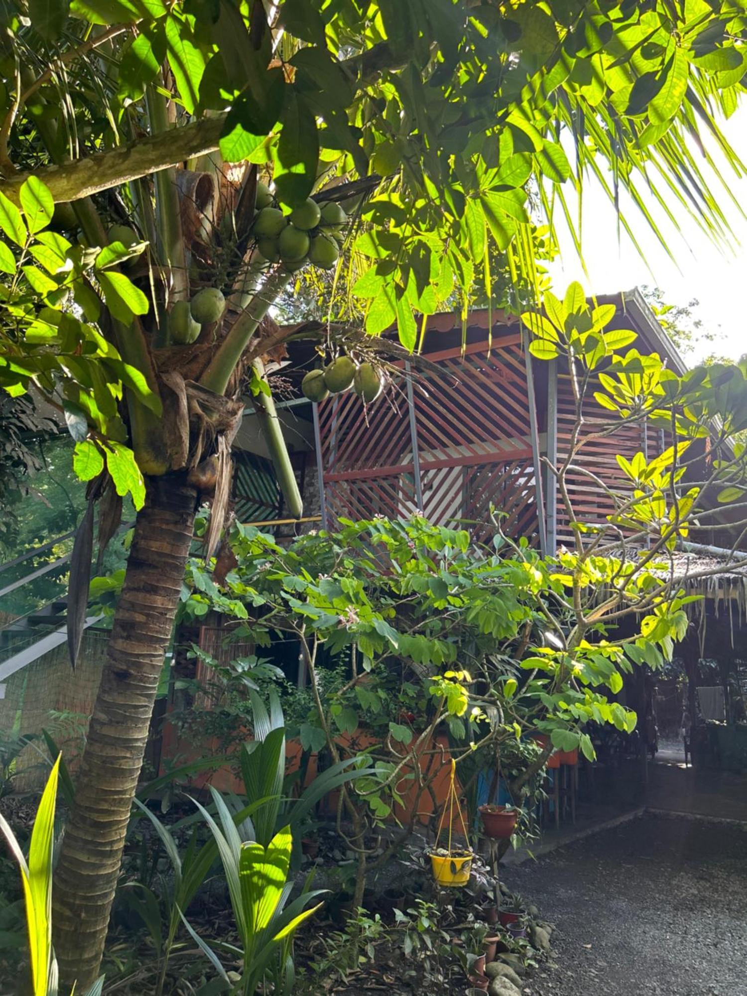 Organico Punta Riel Hotel Cahuita Luaran gambar