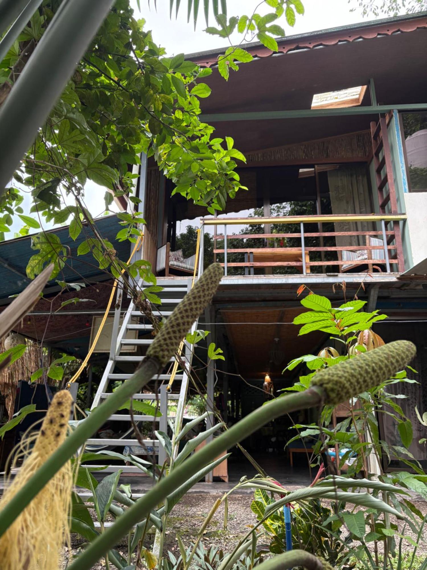 Organico Punta Riel Hotel Cahuita Luaran gambar