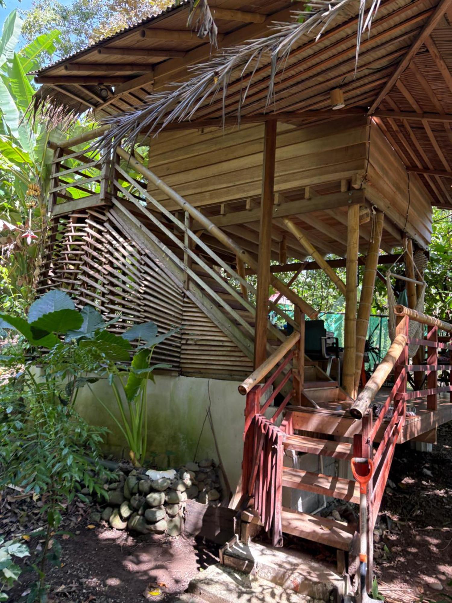 Organico Punta Riel Hotel Cahuita Luaran gambar
