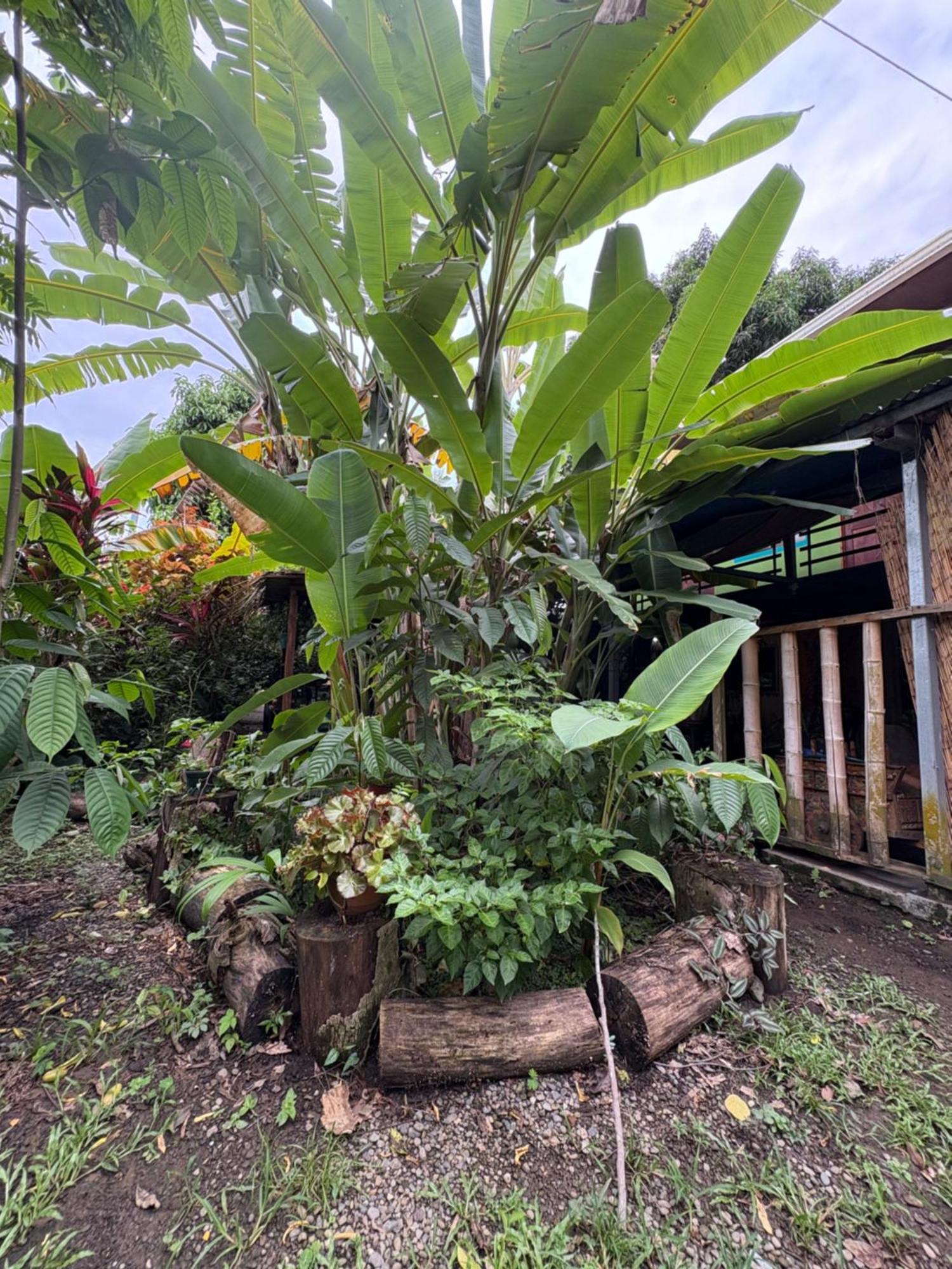 Organico Punta Riel Hotel Cahuita Luaran gambar
