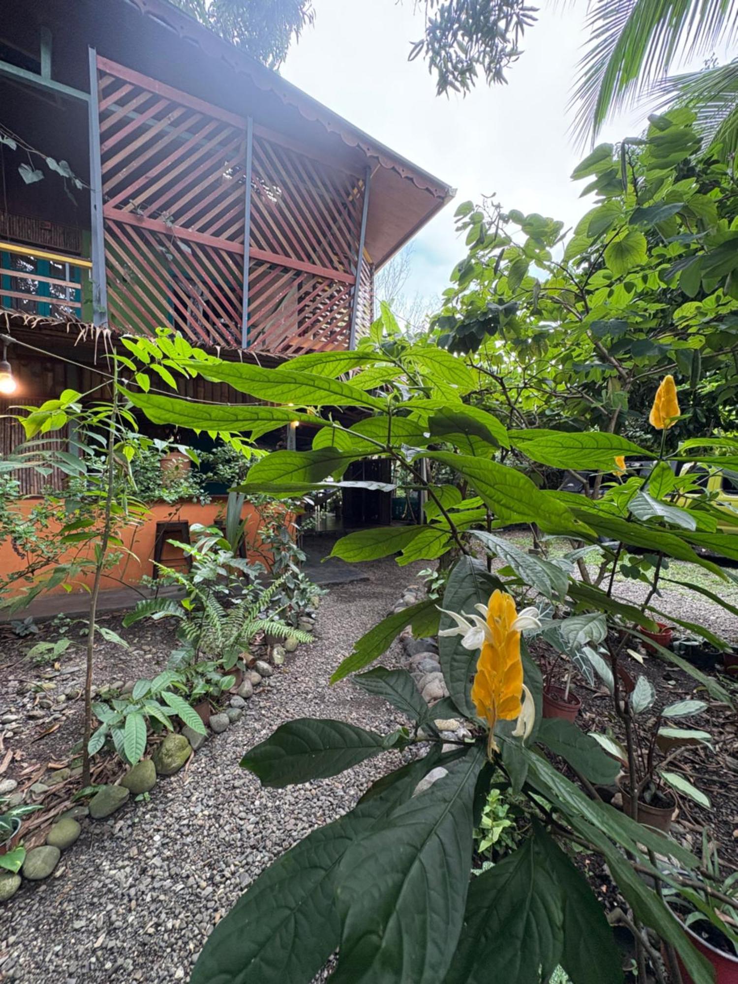 Organico Punta Riel Hotel Cahuita Luaran gambar
