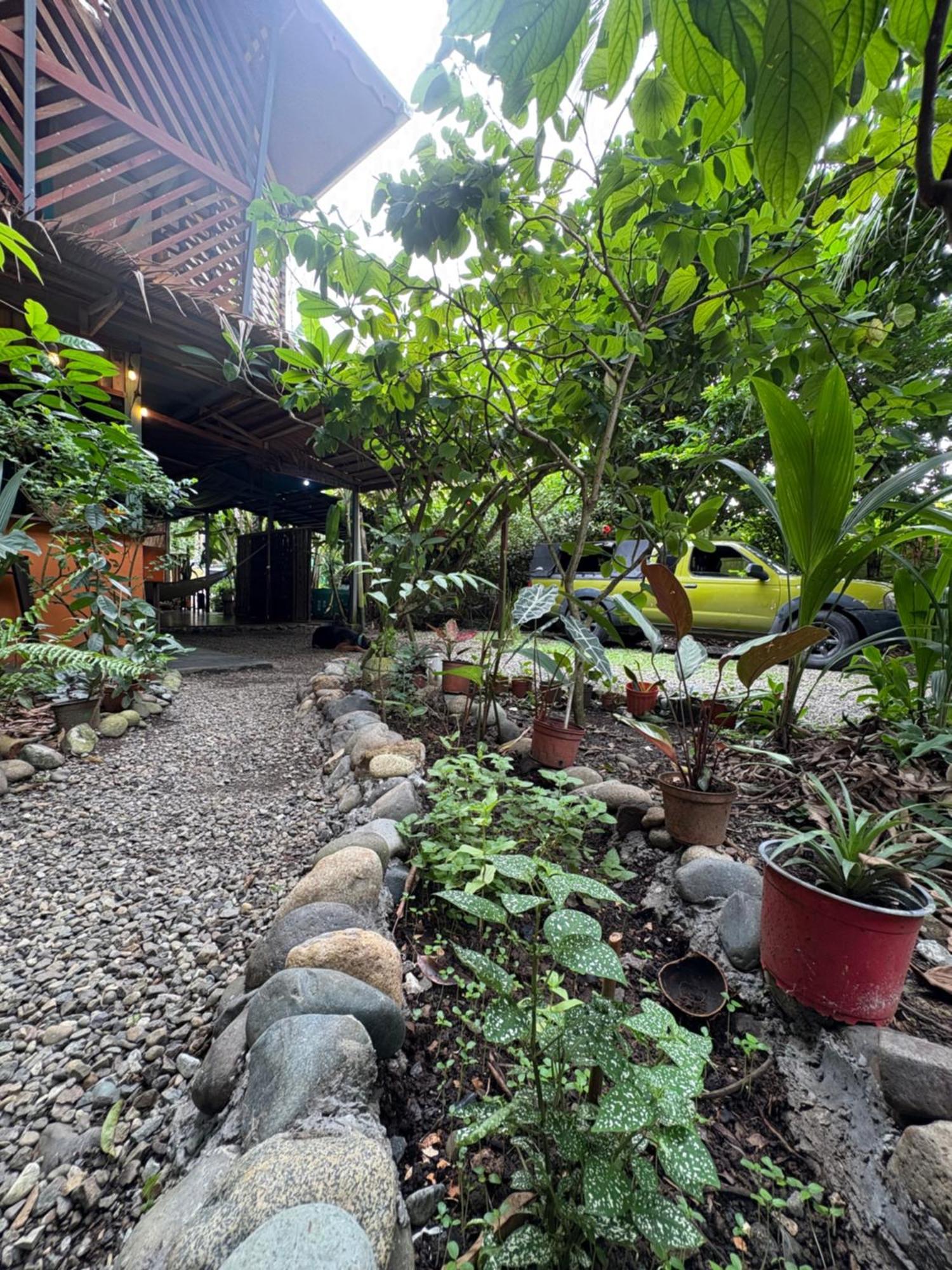 Organico Punta Riel Hotel Cahuita Luaran gambar