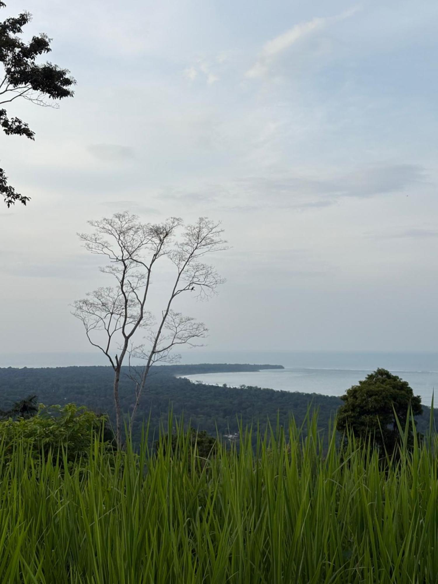 Organico Punta Riel Hotel Cahuita Luaran gambar